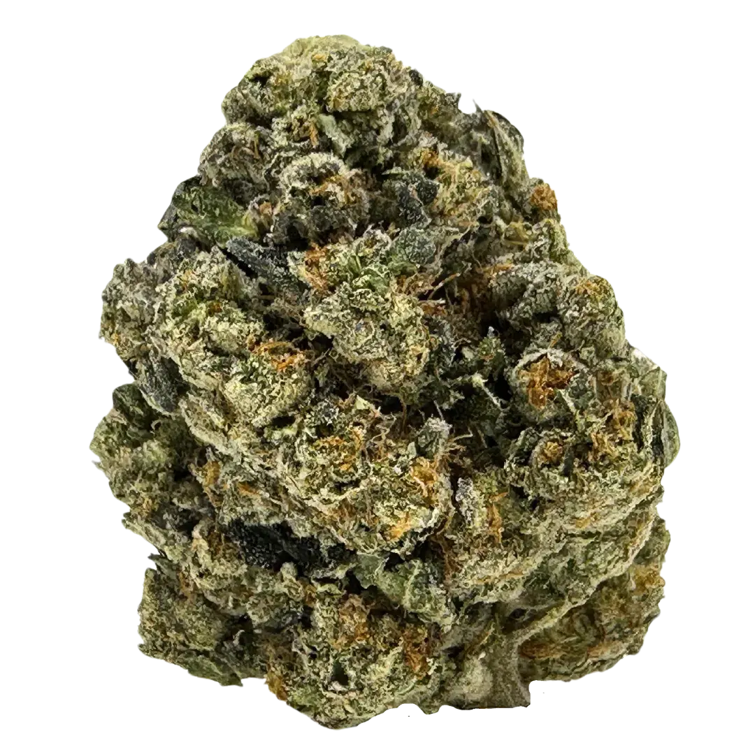 Strawberry Shortcake nugs are dense, bright green, and coated in trichomes, with a sweet berry aroma, earthy notes, and a tart, gassy flavor.